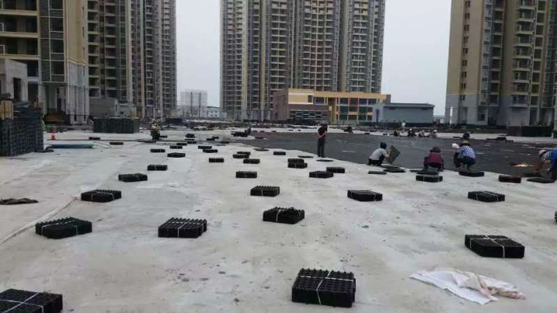 屋顶花台91视频APP下载哪个好?