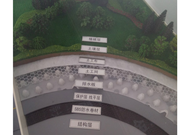 车库顶板91视频APP下载